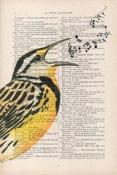 a bird sitting on top of an open book with music notes in it's beak