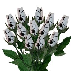 a bunch of white flowers with black and white designs on it's petals, sitting in a vase