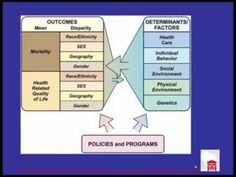 a diagram showing the roles and functions of different departments