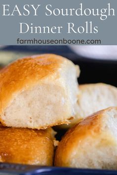 easy sourdough dinner rolls in a blue bowl