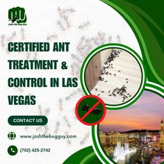 an advertisement for a pest control company in las vegas, nv with pictures of mosquitoes