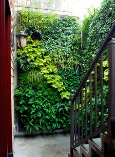 an indoor living wall with plants growing on it's sides and stairs leading up to the second floor