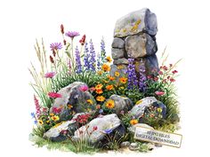 a watercolor painting of flowers and rocks