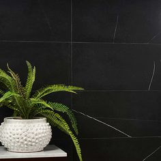 a potted plant sitting on top of a white table next to a black wall