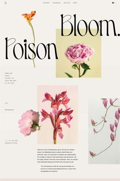 the front page of bloom magazine with pink flowers