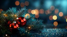 "Christmas Background Art For Greeting" 📸 by Circe Denyer
Like and follow for more stunning free images! 💖
#FreeImage #Christmas #Background #Art #Greeting #PublicDomain #CC0 #FreeToUse
https://www.publicdomainpictures.net/en/view-image.php?image=644435&picture=christmas-background-art-for-greeting Four Day Weekend, Baby Photography Backdrop, Bachelorette Outfits, Be Merry, Christmas Poster, Last Christmas, Christmas Aesthetic, Photography Backdrop, Christmas Pictures