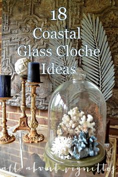 Here are some stylish coastal and beachy glass cloche decor ideas! Seashells, coral figurines, and beachy mini vignettes all look fabulous under a glass cloche. Whether you want to showcase a single item or a collection of things, a glass cloche is a great way to elevate anything that you love and can fit under a cloche. Featured at completely-coastal.com Cloche Decor Ideas, Glass Cloche Decor, Cloche Decor, Coastal Industrial, Coastal Cottage Decorating, Florida Style, Glass Cloche, Industrial Interiors