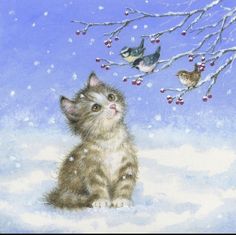 a painting of a kitten looking up at a bird on a snowy branch with berries