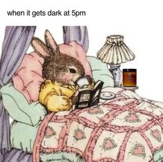 an image of a rabbit in bed with the caption when it gets dark at 5pm