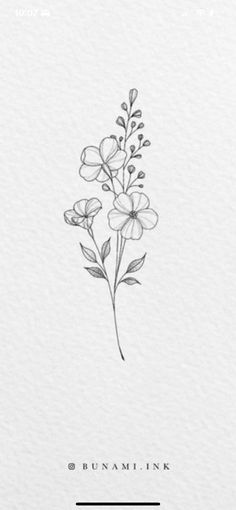 a drawing of flowers on paper with the words bumami ink written in black and white