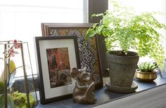 there is a potted plant on the window sill next to pictures and plants