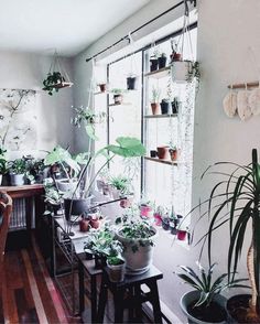 a room filled with lots of potted plants on top of purple counter tops next to a window