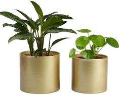 two gold planters with plants in them