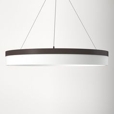 a white light hanging from the ceiling with a black strip on it's end