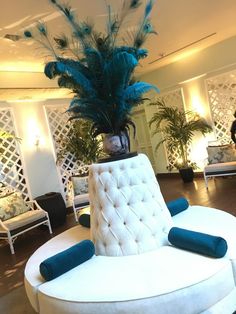 a white chair with blue pillows and a potted plant in the middle of it