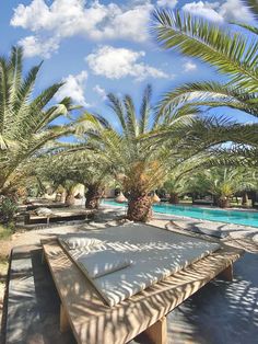 an outdoor area with palm trees, benches and a swimming pool in the middle of it