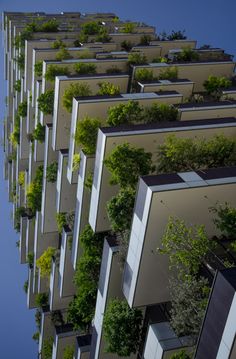 an apartment building with trees growing on the side