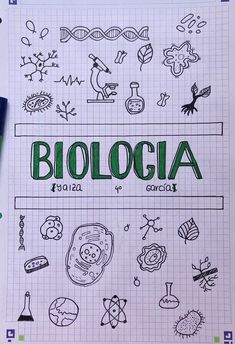 PRIMER AÑO D
PROFESORA
IGLESIAS GISELA Project Cover Page, Biology Projects, Organizator Grafic, مشروعات العلوم, School Book Covers, Bullet Journal Cover Ideas, Výtvarné Reference, School Creative, Page Borders Design