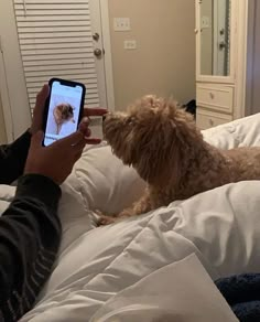 a person holding a cell phone and petting a dog sitting on a bed with white sheets