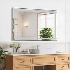 a bathroom vanity with a large mirror above it and a potted plant in the corner