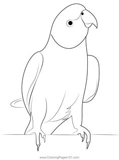 a black and white drawing of a parrot