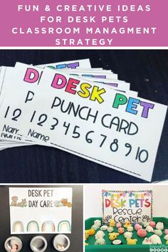 classroom management for dogs and cats with text overlay that reads fun and creative ideas to use