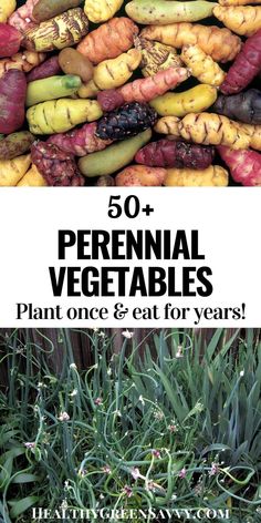 several different types of vegetables with text overlay that reads 50 + perennial vegetables plant once & eat for years