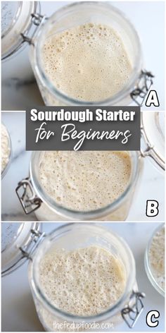 three images showing how to make sourdough starter for beginners with text overlay