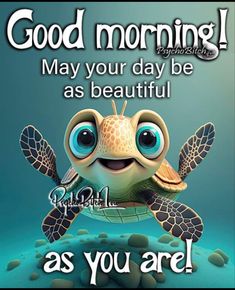 a sea turtle with the caption good morning may your day be as beautiful as you are