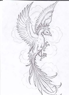 a drawing of a bird flying in the sky