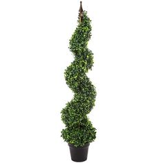 a tall potted plant is shown in the shape of a spirally topiary