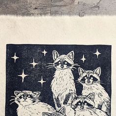 a drawing of three raccoons on a black and white paper with stars in the background