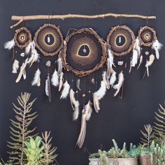 a group of dream catchers hanging on a wall next to plants and potted plants