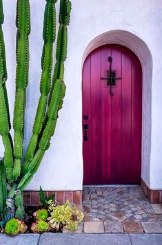 a large cactus next to a red door