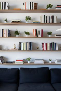 15 Living Room Wall Decor Ideas Above Couch to Try Now! Long Shelves Above Couch, Shelves Behind Couch Wall, Bookshelves Behind Sofa, Bookshelves Above Couch, Shelves Over Sofa, Long Picture Ledge, Decor Ideas Above Couch, Ideas Above Couch