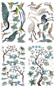 four different types of birds and flowers on a white background, each with various colors