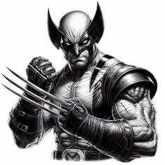 a drawing of wolverine in black and white with his claws out, looking like he is holding