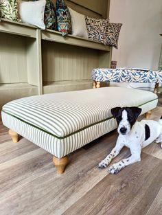 a dog laying on the floor next to a couch