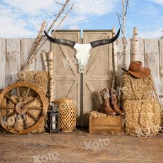 an animal skull is mounted on the wall next to hay bales and other items