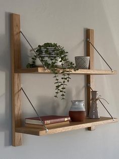 two wooden shelves with plants and books on them