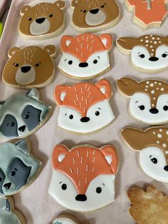 decorated cookies in the shape of bears and foxes