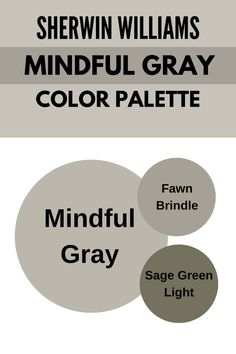 three circles with different colors in them and the words mindful gray on each one