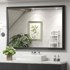 a bathroom vanity with a mirror above it and a potted plant on the counter