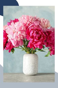 a white vase filled with pink flowers on top of a wooden table next to a blue wall