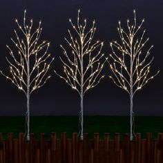 three trees with white lights on them in front of a wooden fence and night sky