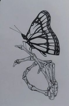 a black and white drawing of a butterfly on a branch with skeleton bones in the foreground