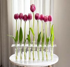 several clear vases with pink tulips in them sitting on a white table