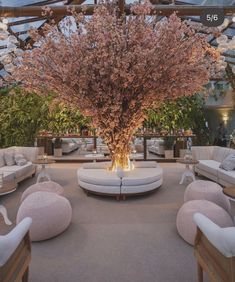 a large tree in the middle of a room with white chairs and couches around it