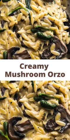 creamy mushroom orzo Mushroom Orzo, Spinach Orzo, Pasta With Mushrooms, Spinach Healthy, Vegetarian Pasta Dishes, Mushroom Spinach, Pasta Side Dishes