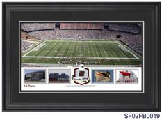 a football stadium with many pictures on it